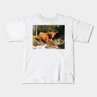 Scottish Highland Cattle Cow 2319 Kids T-Shirt